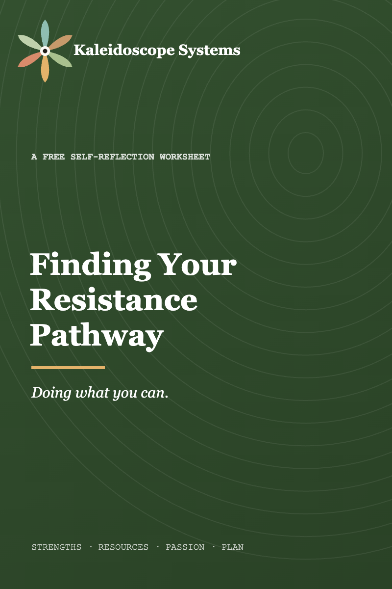 Cover of Finding Your Resistance Pathway