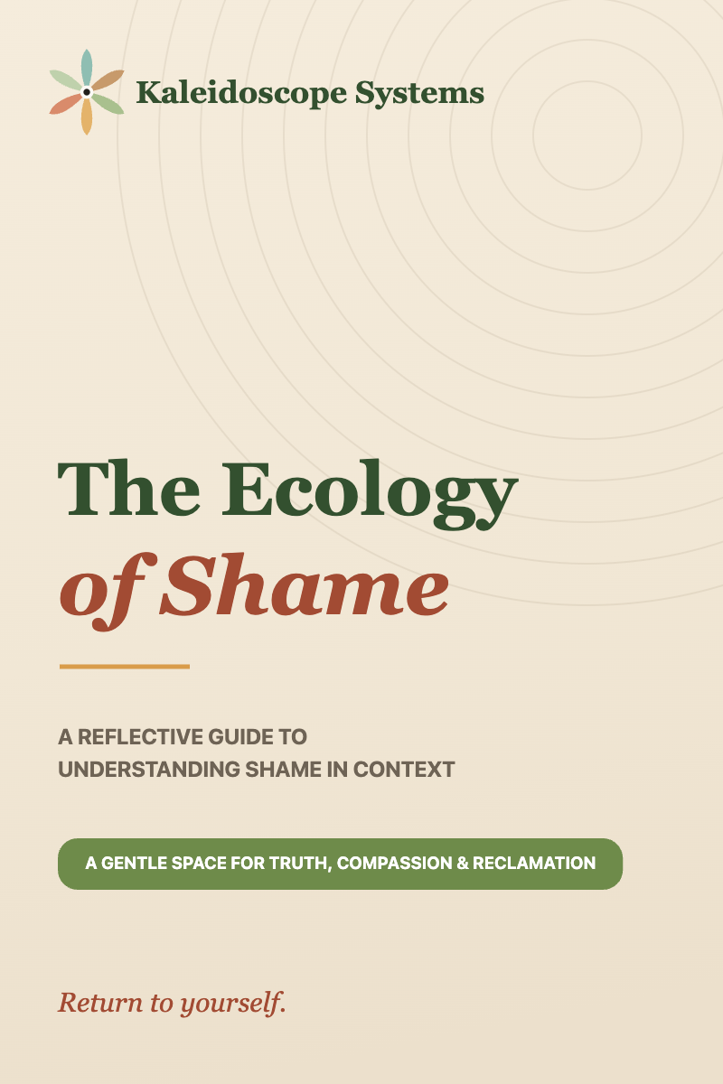 Cover of The Ecology of Shame