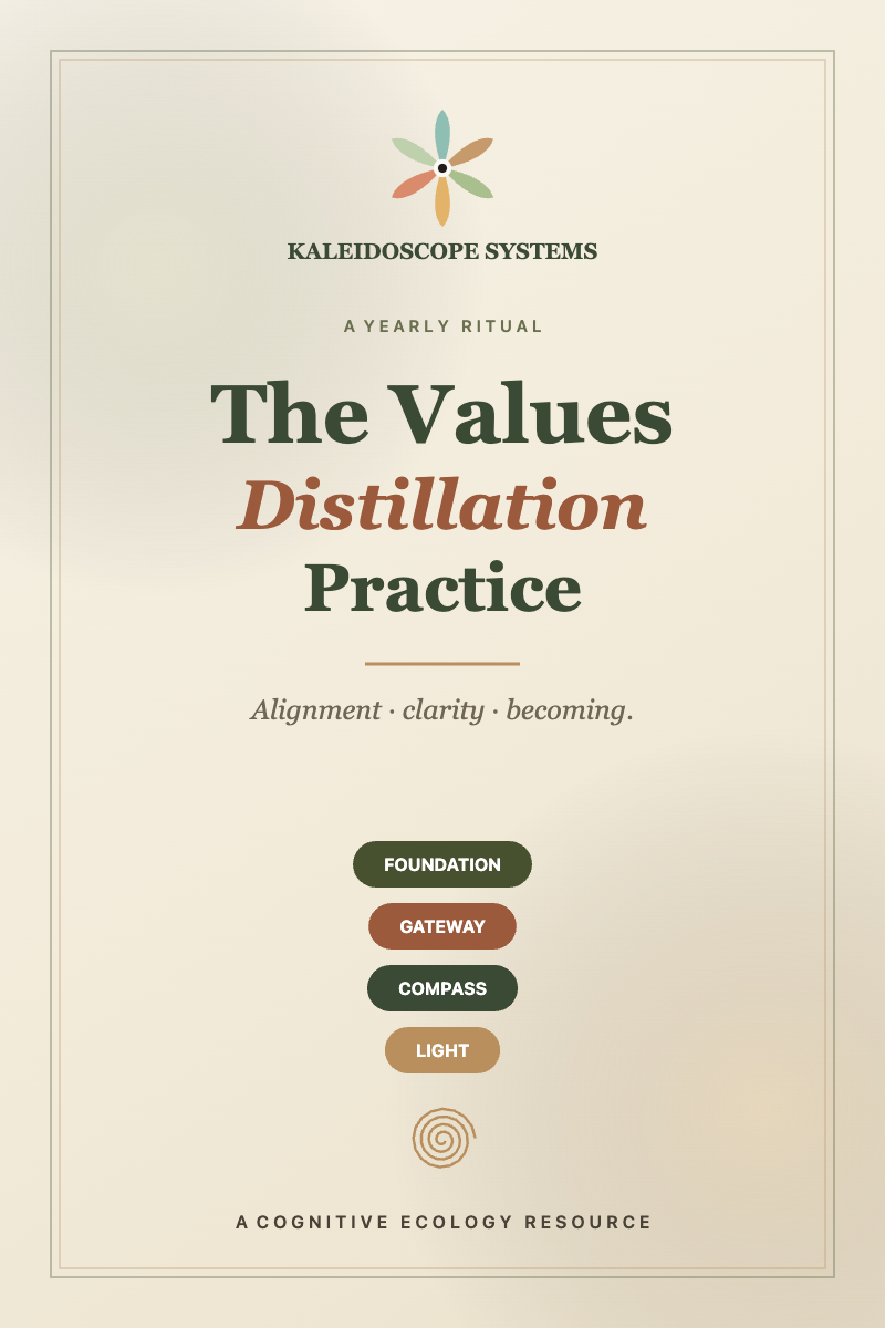 Cover of The Values Distillation Practice